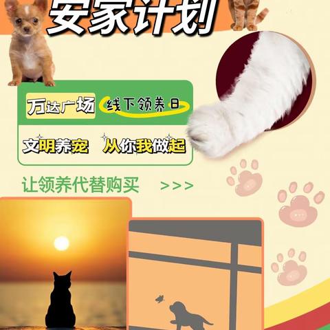 第二十九届金沙流浪动物领养活动启动中