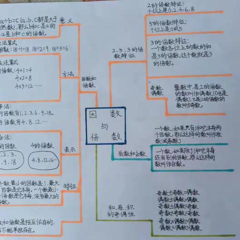 享多彩暑假，游数学乐园            ——驻马店市第十一小学五年级数学暑假特色作业