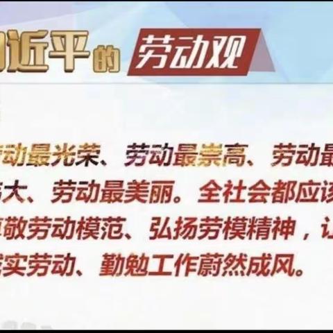 “享劳动之乐，增劳动之智”——第十七小学四年二班学用洗衣机劳动实践