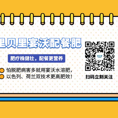 微生物菌剂这样用，养根又养土！