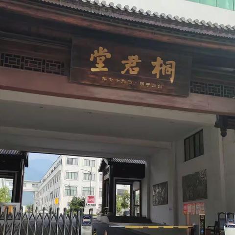 参观国家级非遗项目“桐君传统中药文化”