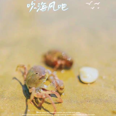 暑假不虚度，成长不止步——记佛堂小学302班朱梓涵暑期生活