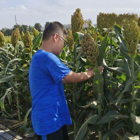 华润希望小学六年级一班 常征‘五个一’