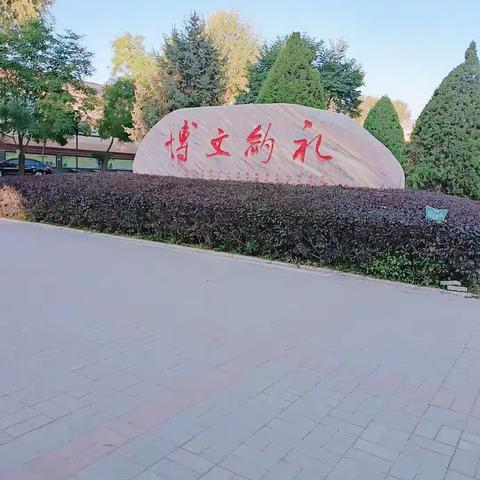 洮阳学校，家校共育，健康成长