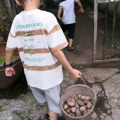 种土豆🥔🥔