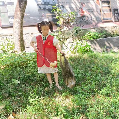 我自愿，我行动——金华市青春小学一（1）志愿小先锋