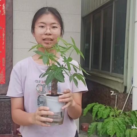 预防基孔肯雅热，东凤二中在行动——今天你倒水了么？