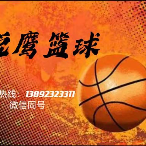 2023年锐鹰篮球暑期班火热招生中……🏀