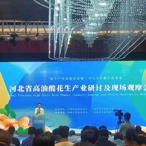 “热烈庆祝河北省高油酸花生产业研讨会暨现场观摩会”在大名召开，预祝大会园满成功！” 燕赵农村报:李佩峰 报道