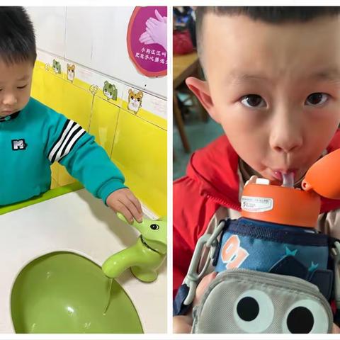 有趣的水💦天乐幼儿园振兴分园向日葵班