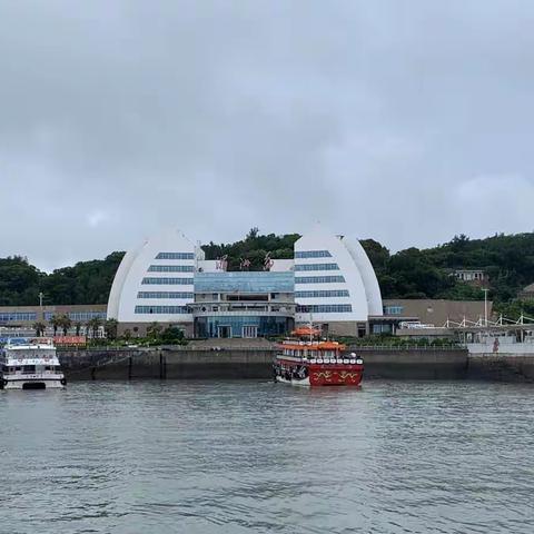 柳城小学七色花中队丁奕茹2023《你好，暑假》莲君养成记——趣味旅游记