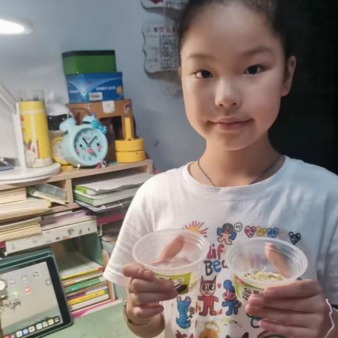 见证小芽芽的生长过程