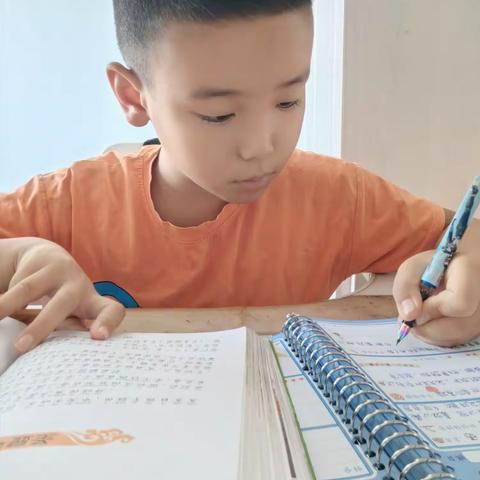 东关小学实践作业                                       刘宇辰