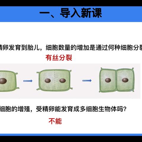 新课教学纪实——《细胞的分化》