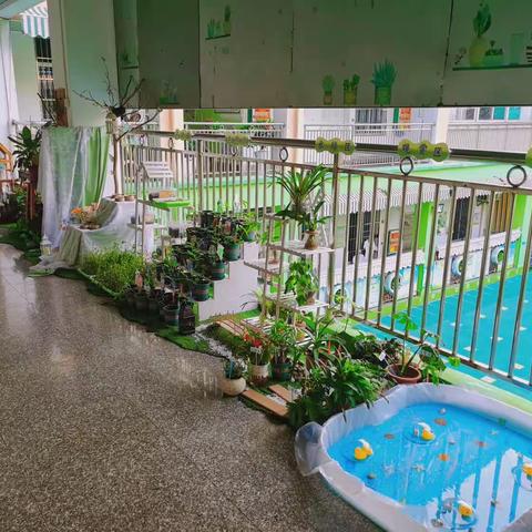 中三班植物角