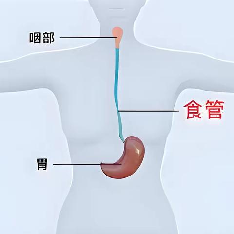 “趁热吃”可不是什么好事！