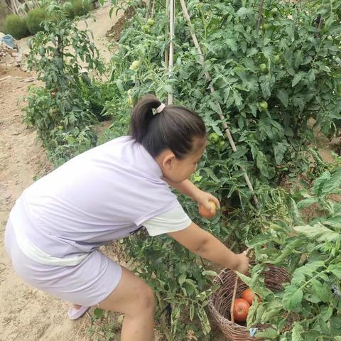 华润希望小学三年级一班李傲雪“假期五个一”暑假精彩活动