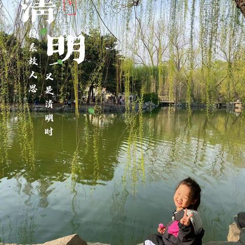 融情清明，浸润童心 研究院幼儿园清明节 主题活动