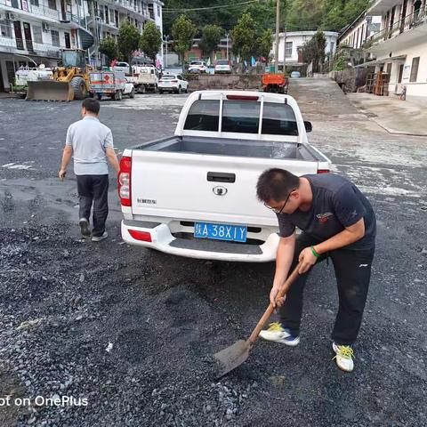 荷花虽好，也要绿叶扶持