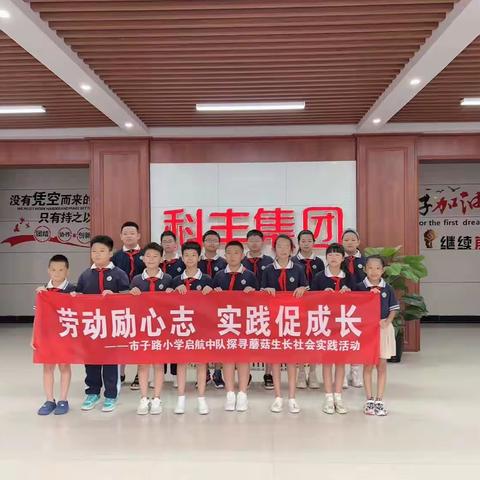 劳动励心志，实践促成长——市子路小学启航中队探寻蘑菇生长社会实践活动