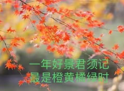 “教”无涯，“研”不尽  ——濑湍镇中心小学2023 秋教学工作印记🍀