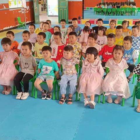 高洲乡实验幼儿园大班下学期期末总结