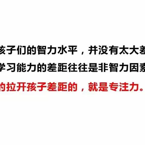 湖滨中心小学社团特色课程 ——专注力训练