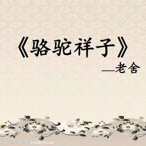 《骆驼祥子》读后感