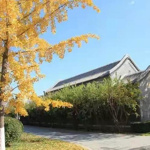 向阳花与夕阳红