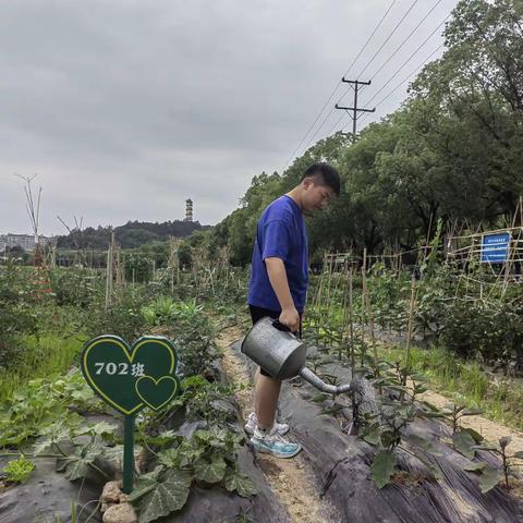 今天来实验田瞧瞧，看看我们种植的蔬菜长得怎么样