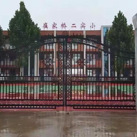 崔家桥镇第二实验小学八月份社区教育——传染病知识培训