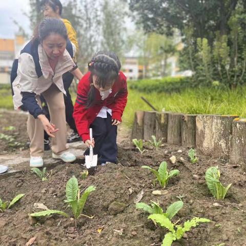 小荷露们，快乐生长吧！