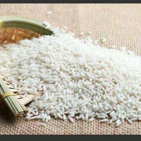 高旗实验小学302班覃梓晨暑假实践活动——看糯米的72变