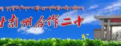 【“三抓三促”进行时】赛课磨砺展风采 以赛促教共成长——合作二中开展“千校万师”赛课校内选拔暨落实素养导向的“教学评一体化”课堂教学展示活动