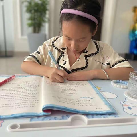 丰富多彩的暑假