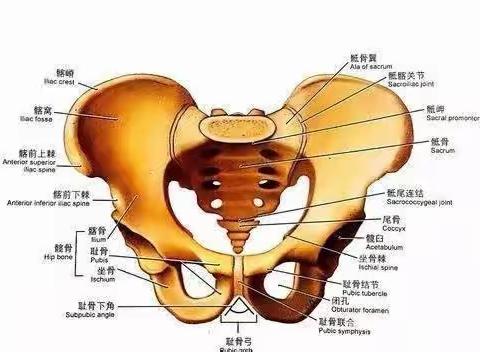 杨世奇  晋城康宁手外科医院的美篇