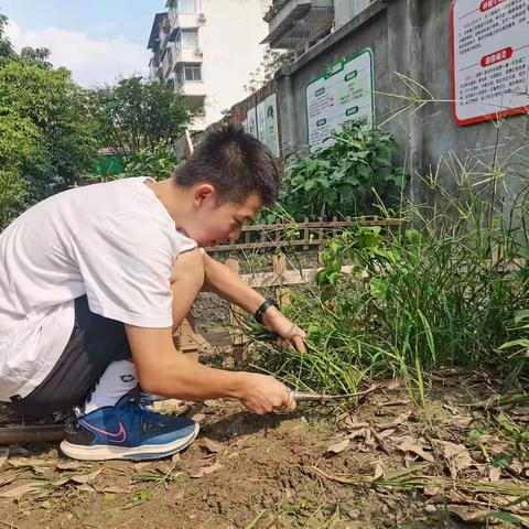 社会实践感悟