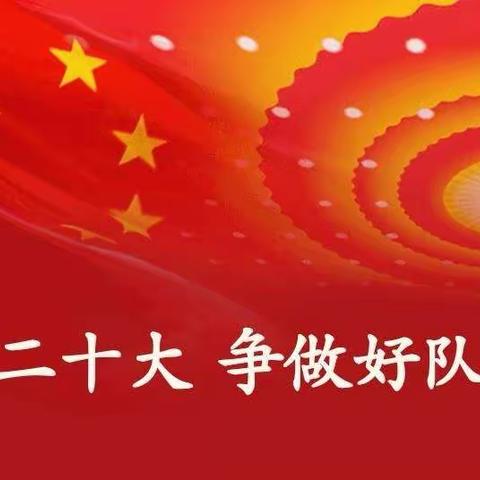 学习二十大  争做好队员