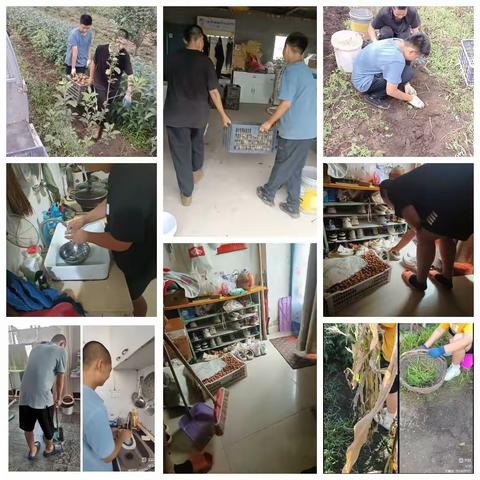 勇者无畏的美篇