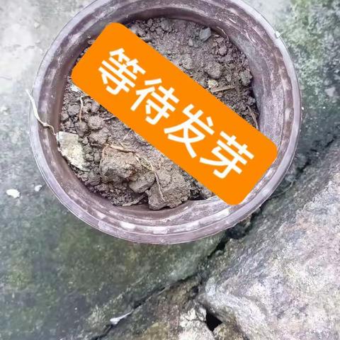 妞妞的美篇