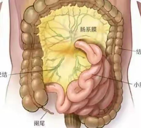 儿童肠系膜淋巴结肿大怎么回事