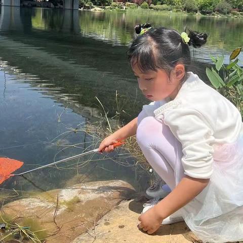 “学习二十大，争做好队员”，大家好，我是长沙市岳麓区五星小区一年级（2）班的李杜亦晨，这是我暑假争章