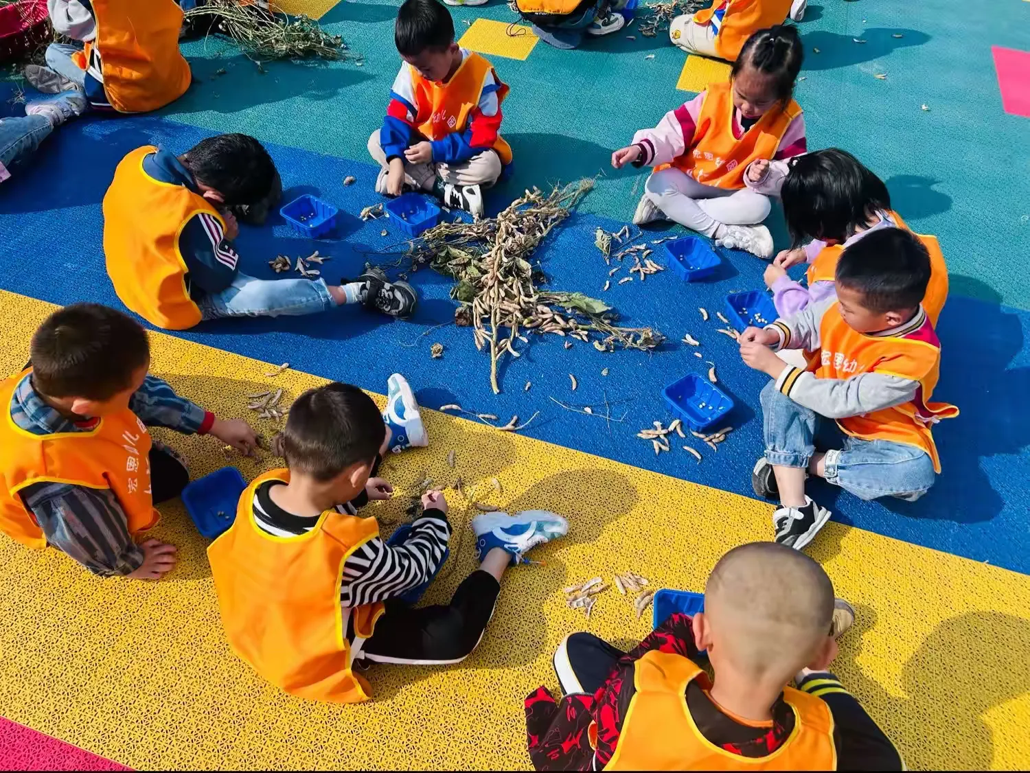 简篇-宏恩二幼秋季农作物游园活动美篇