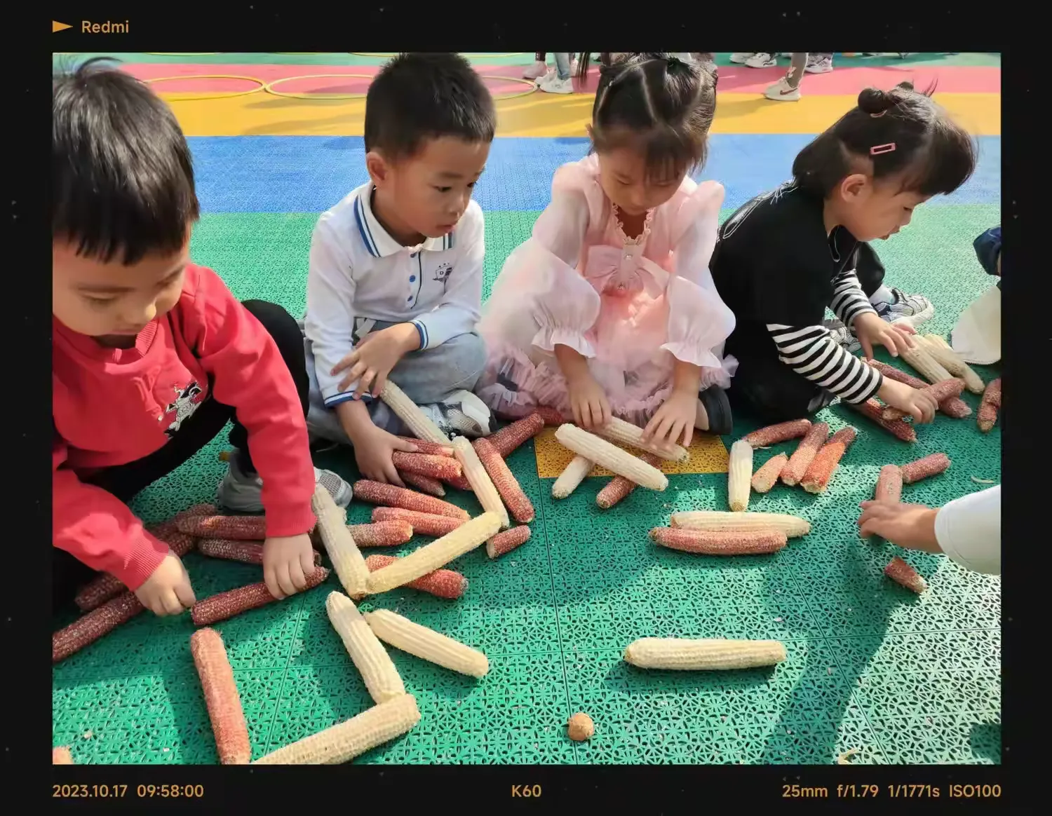 简篇-宏恩二幼秋季农作物游园活动美篇