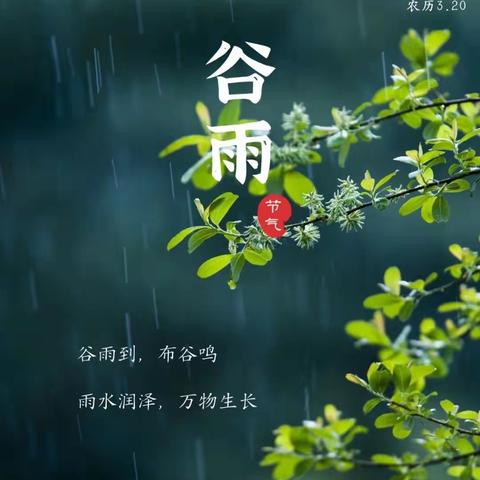 谷雨时节识谷雨