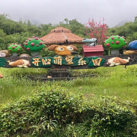 雨天的萌宠乐园