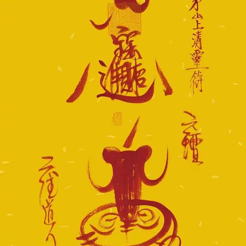 遇到理视康