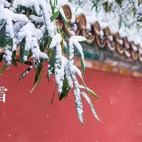 十二节气—小雪