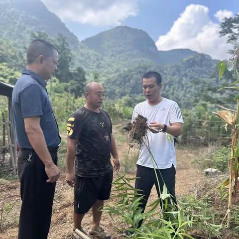 鲁渝情深，助梦前行 山东支农干部帮扶贫困学子