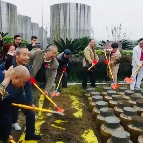 褚成炎｜“金盆地酒”美如许 八百余年精研成—— 金盆地药香酒的前世今生